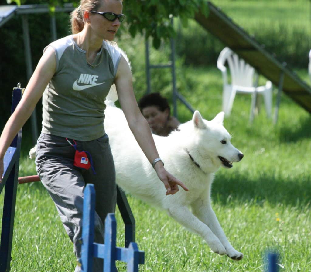 Activités canines Thonon les bains